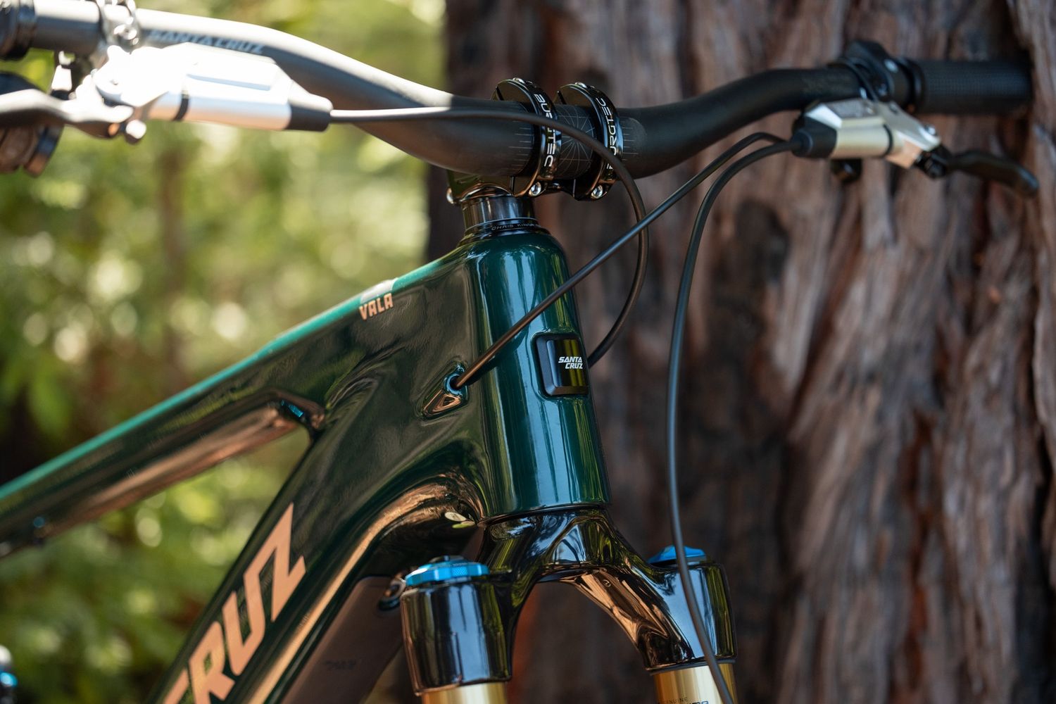 SANTA CRUZ Vala C MX AUS GX AXS-Kit
