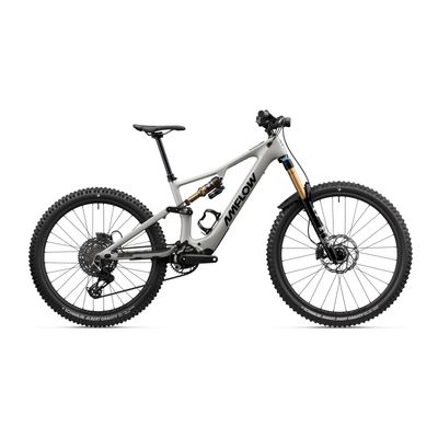 E Mountain Bikes