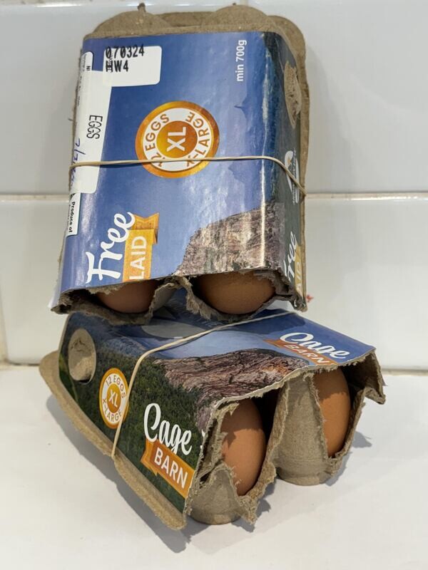 Mountain View 1/2 Dozen Cage Free Eggs, Each