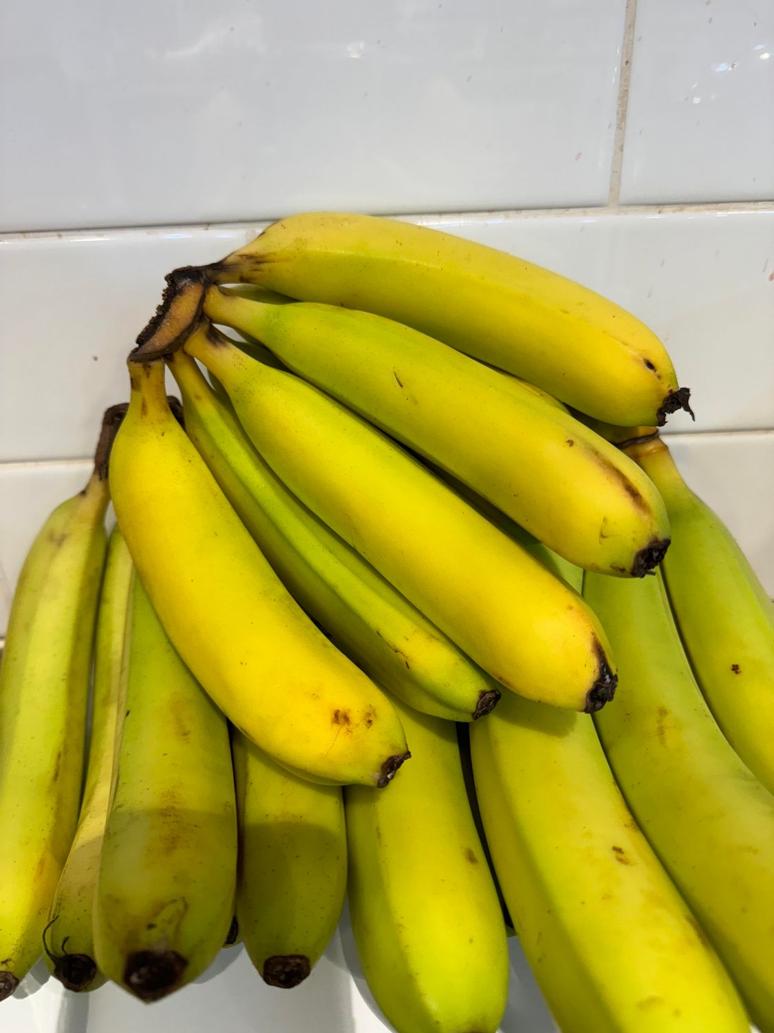 Cavendish Bananas, Each