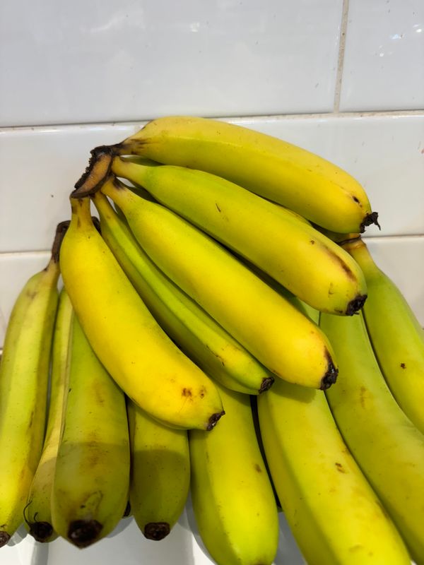 Cavendish Bananas, Each