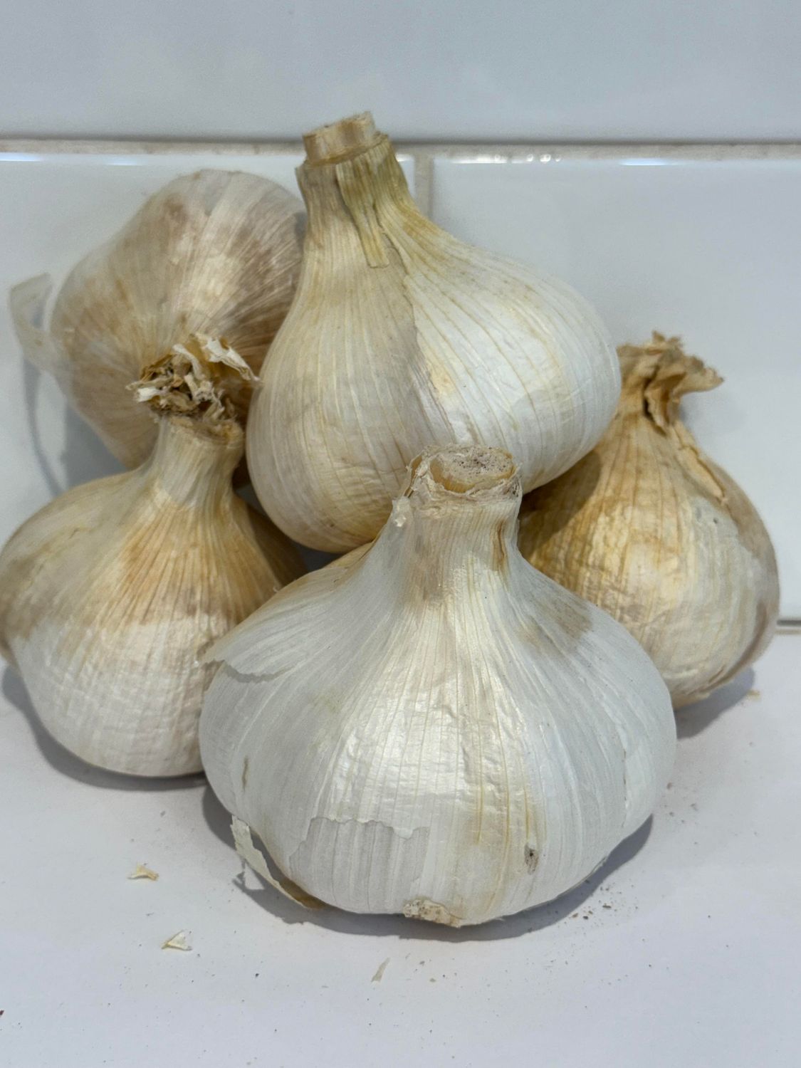 Elephant Garlic Bulb (Australian Grown in the Darling Downs), Each