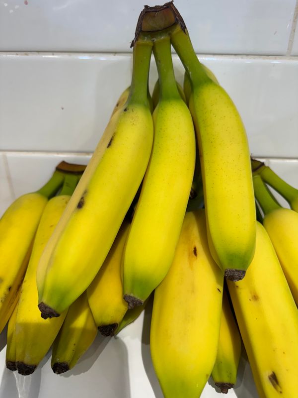 Lady Finger Bananas, Each