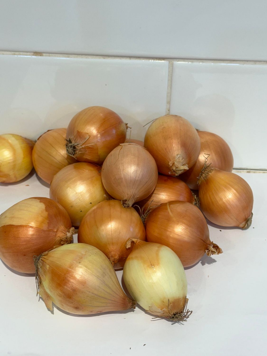 Pickling Onions 1KG Bag, Each
