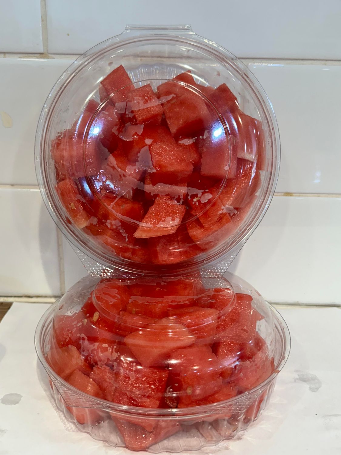 Watermelon Tub 20oz Large