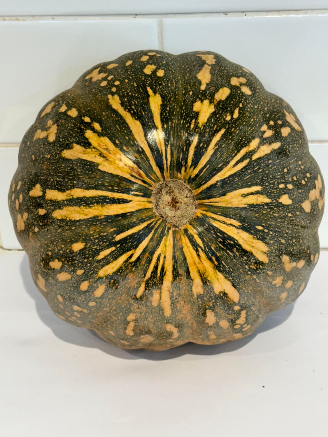 Pumpkin Jap Whole, Each