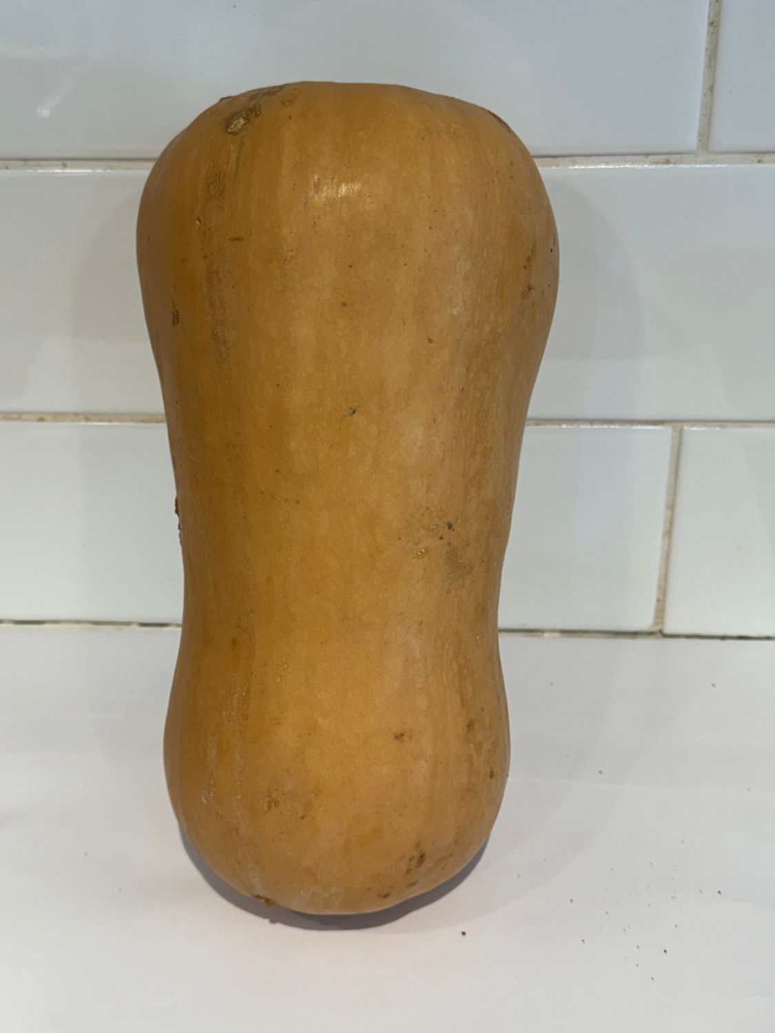 Pumpkin Butternut Whole, Each