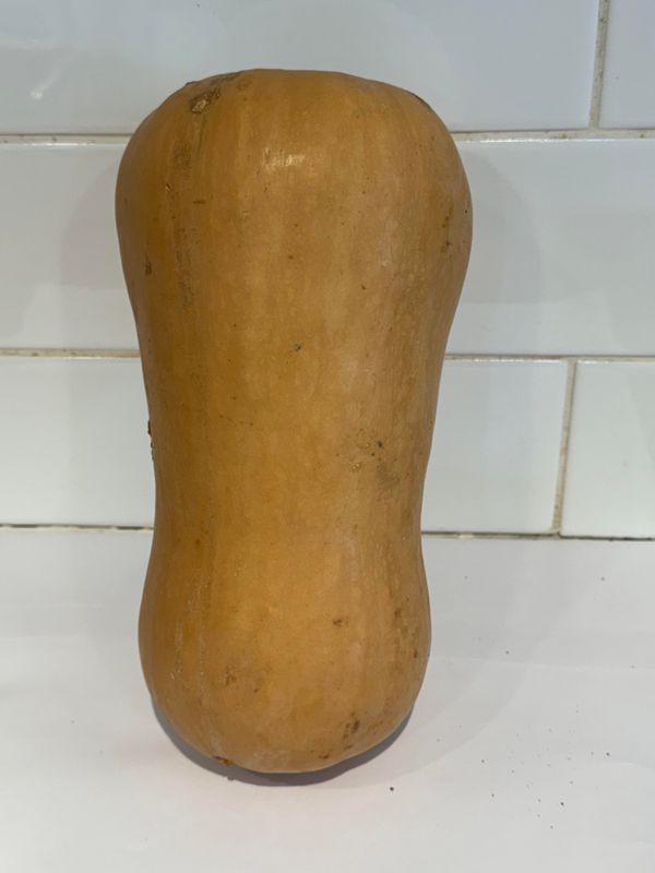 Pumpkin Butternut Whole, Each