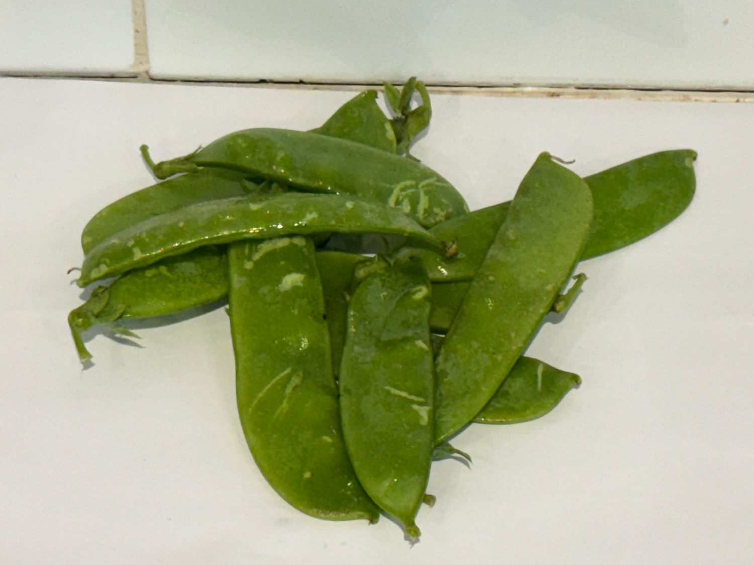 Snowpeas, Each