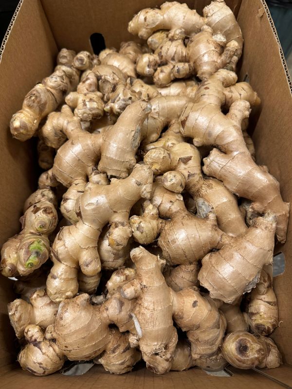 WHOLESALE - Fresh Ginger 10kg box