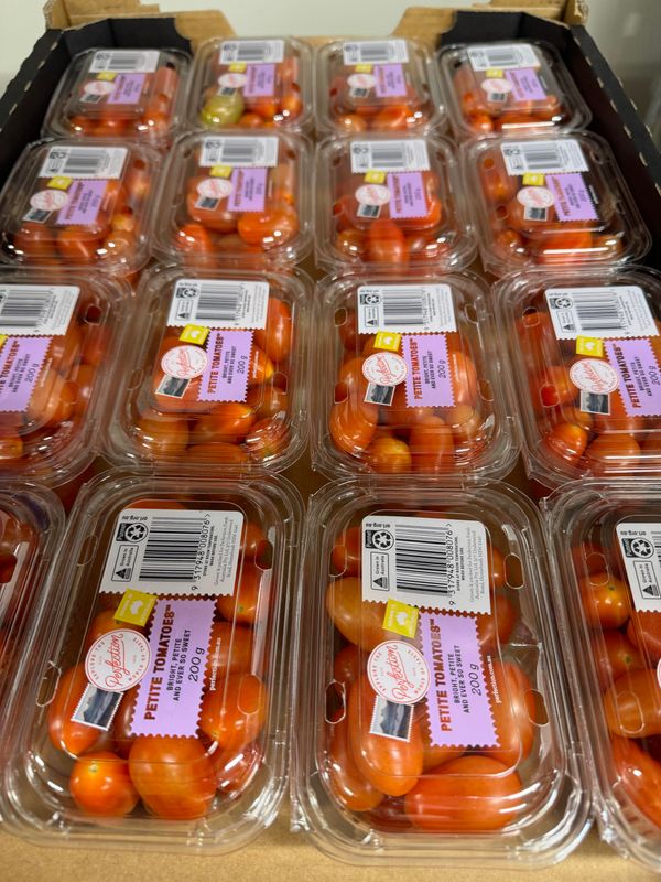 WHOLESALE - GRAPE TOMATO (16)