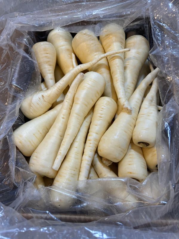 WHOLESALE - Parsnips 10KG BOX NO1