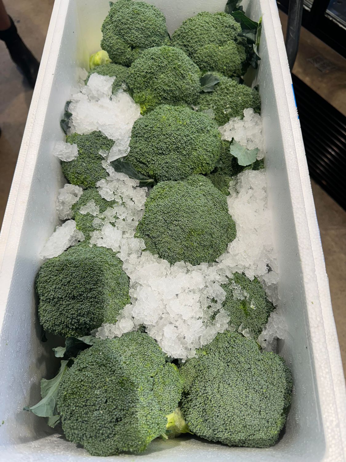 WHOLESALE - Broccoli 8kg box