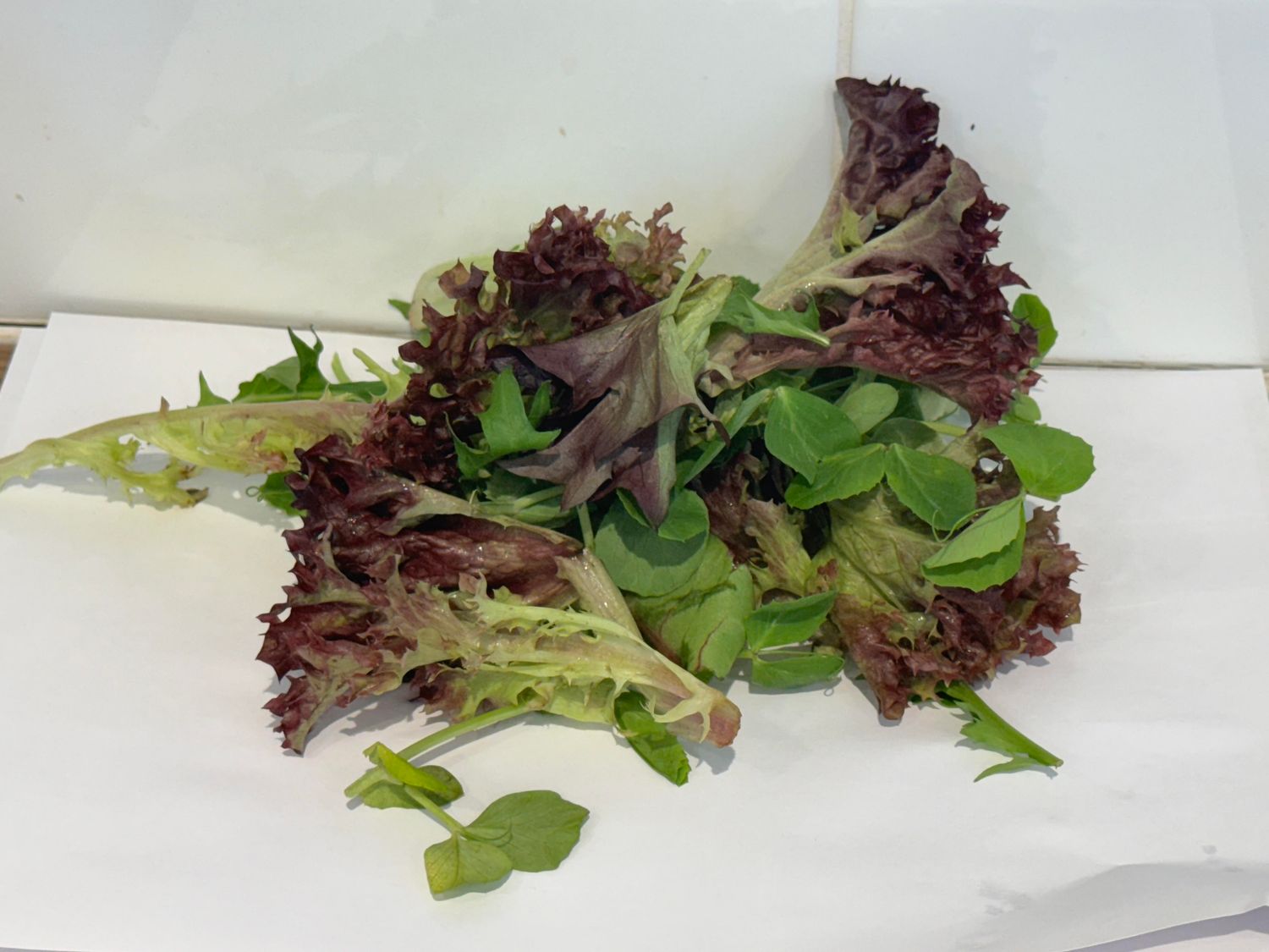Mesculin Mix (Mixed Lettuce) PER 50G