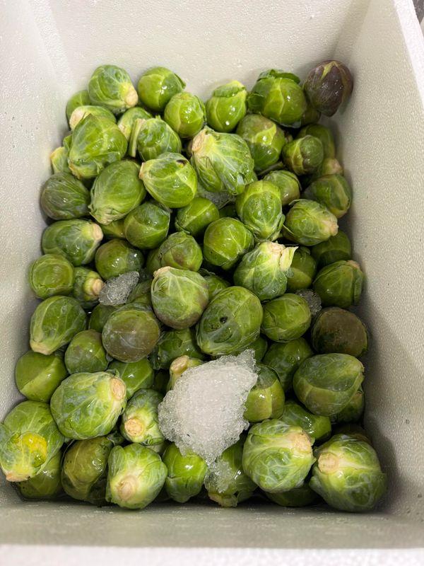 WHOLESALE - Green Brussel Sprouts 5KG BOX