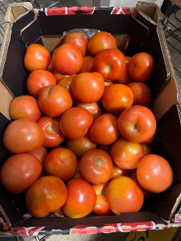 WHOLESALE -Small Round Tomato (10KG BOX)