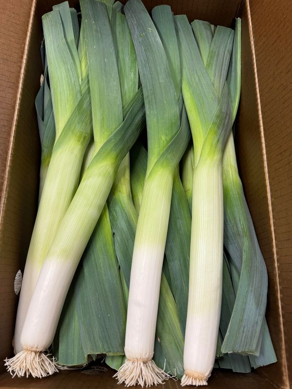 WHOLESALE - Leeks (15 per BOX)
