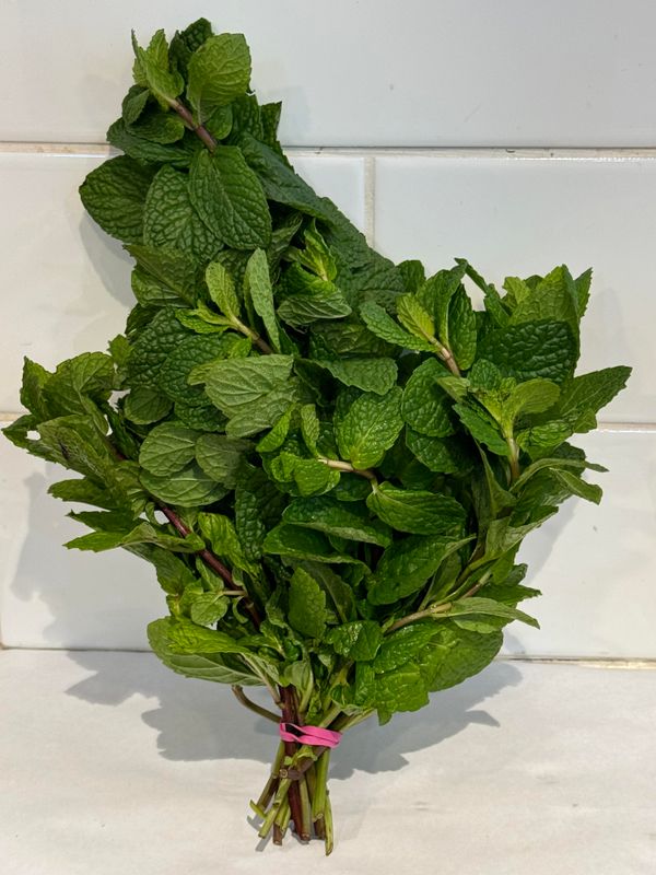HERBS- Fresh Mint, Each