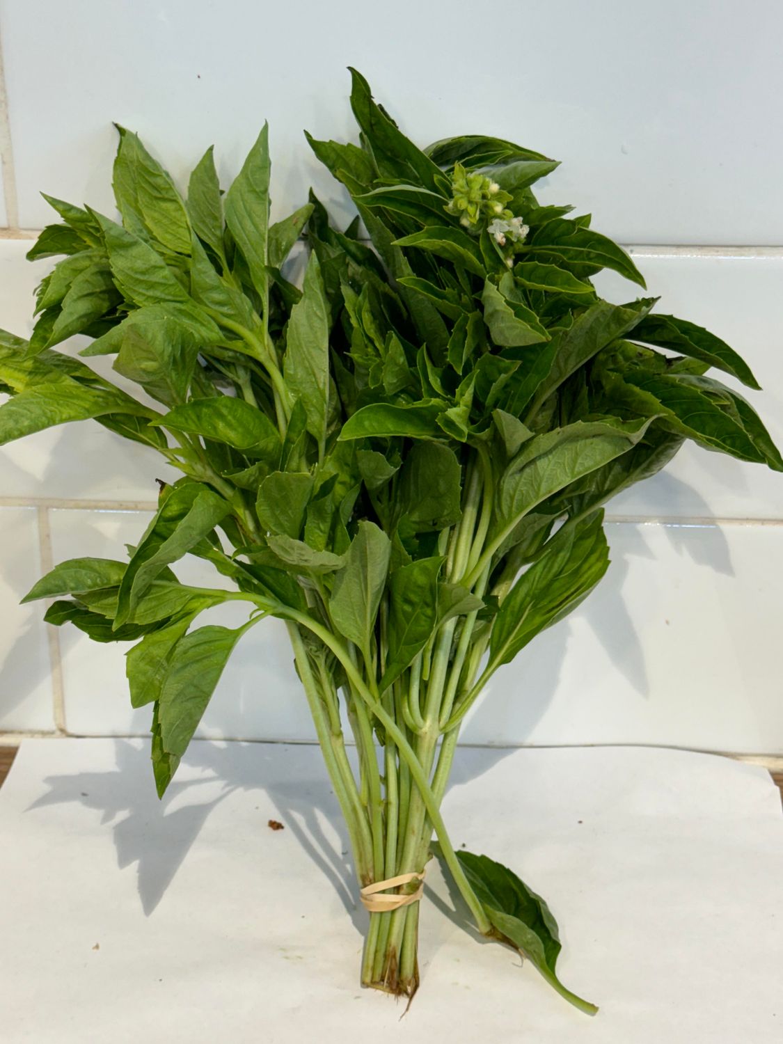 HERBS- Fresh Basil, Each