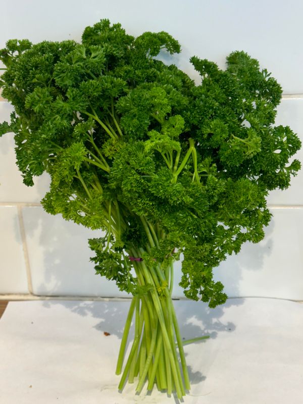 HERBS- Fresh Curly Parsley, Each