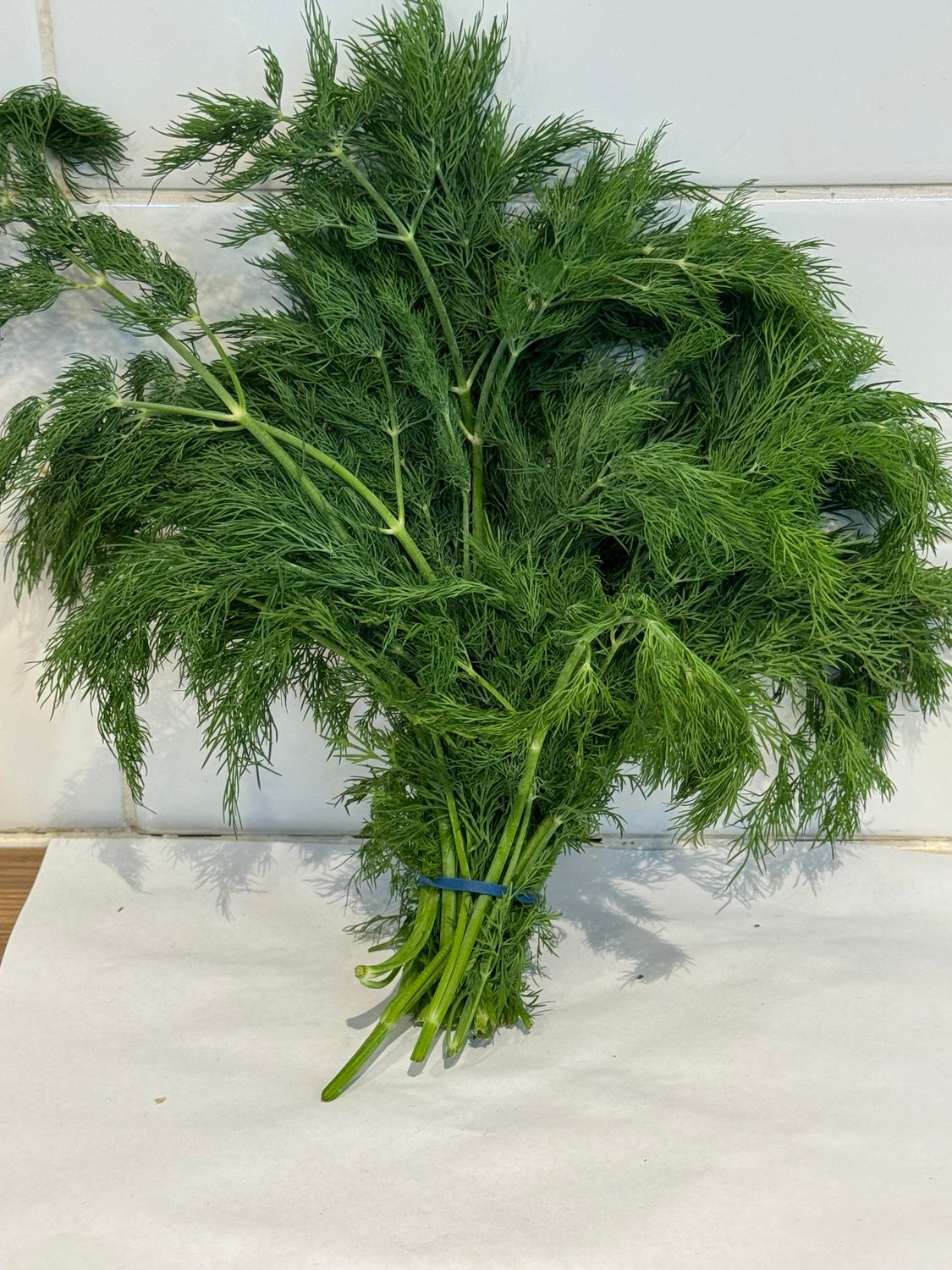 HERBS- Fresh Dill, Each