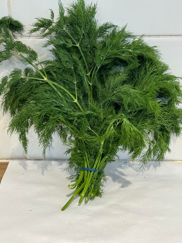 HERBS- Fresh Dill, Each