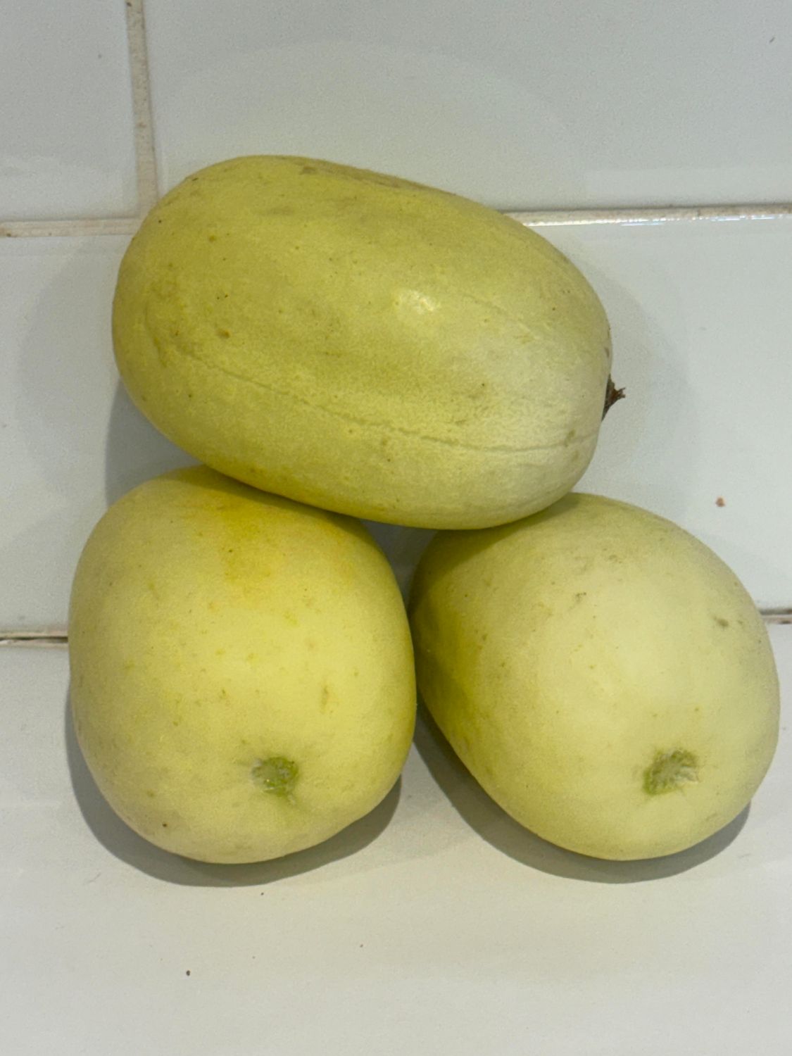 Cucumber White, Each (SML-MED)