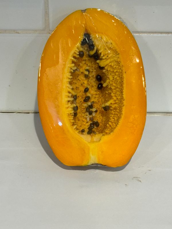 Pawpaw Half, Each