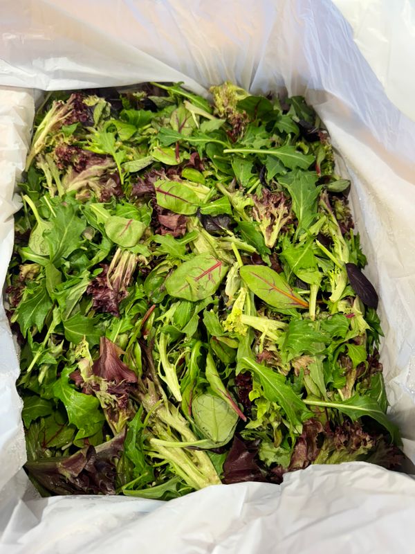 WHOLESALE - Mesculin Mix (1.5KG BOX)
