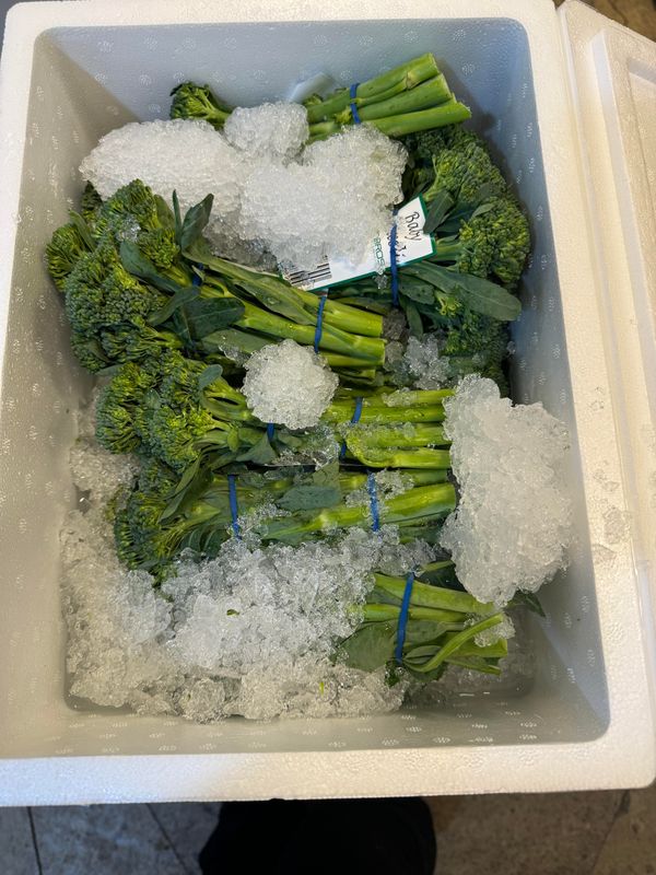 WHOLESALE - Broccolini