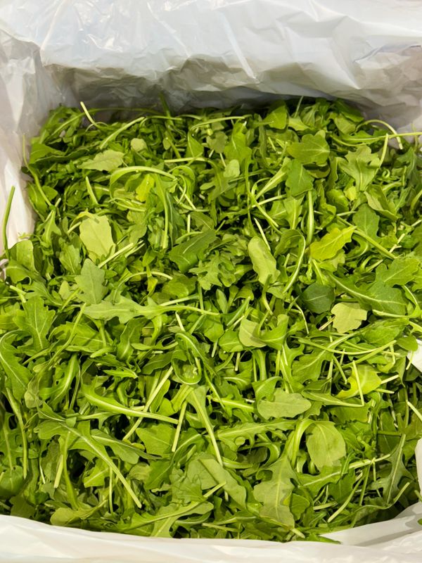 WHOLESALE - Rocket (1.5KG BOX)
