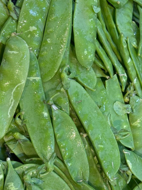 WHOLESALE - Snowpeas (1KG BAG)