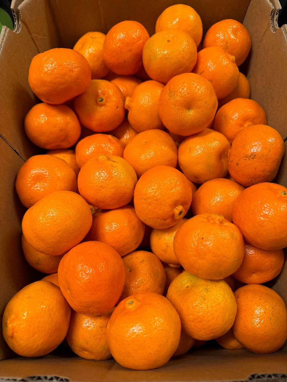 WHOLESALE - Mandarin Hickson 15KG BOX