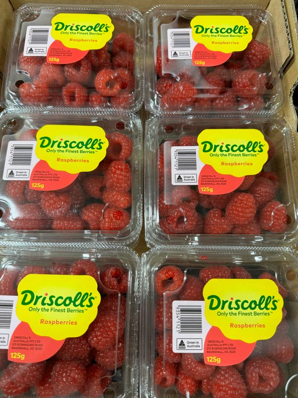 WHOLESALE - Raspberries 12 Punnets