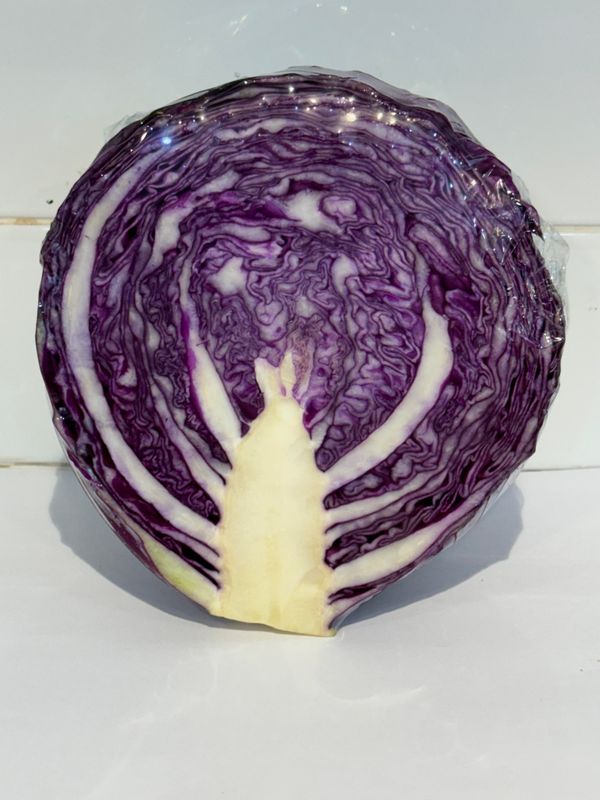 Cabbage - Red Half, Each