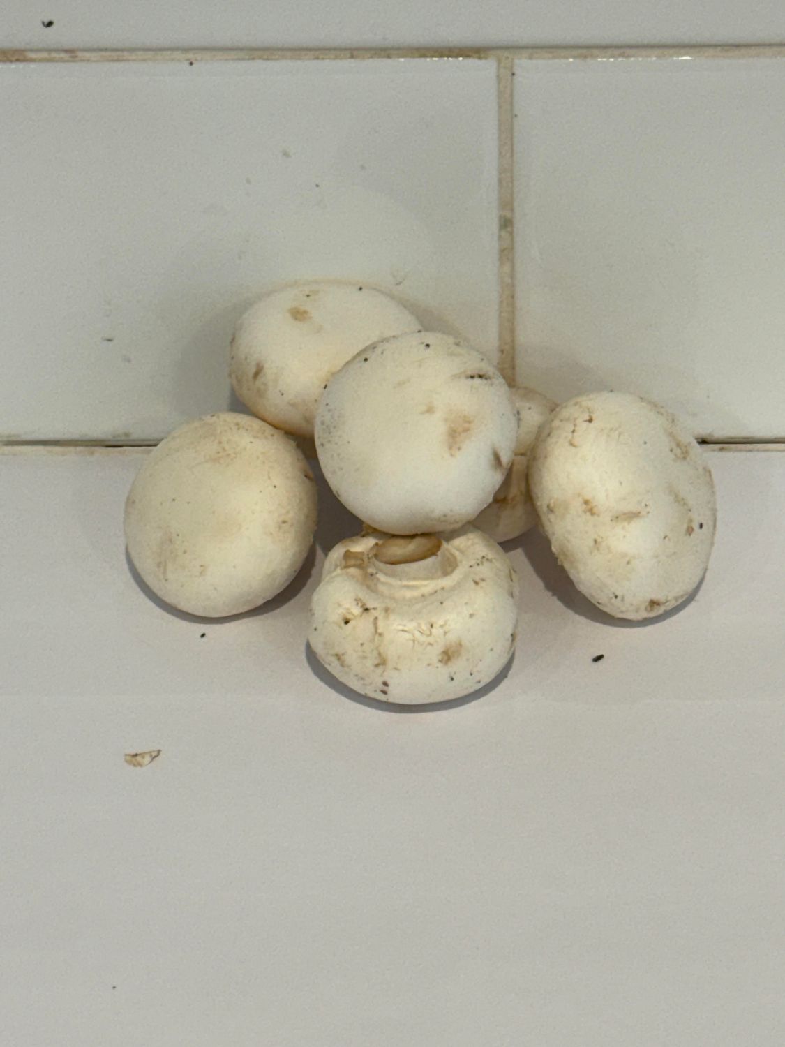 Mushrooms Buttons, Each