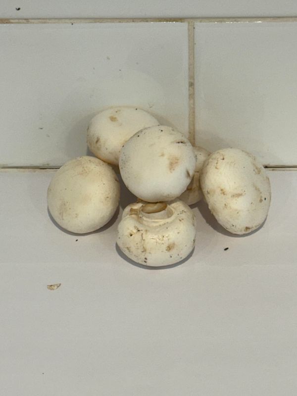 Mushrooms Buttons, Each
