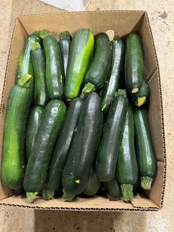 WHOLESALE - Zucchini (10KG BOX)