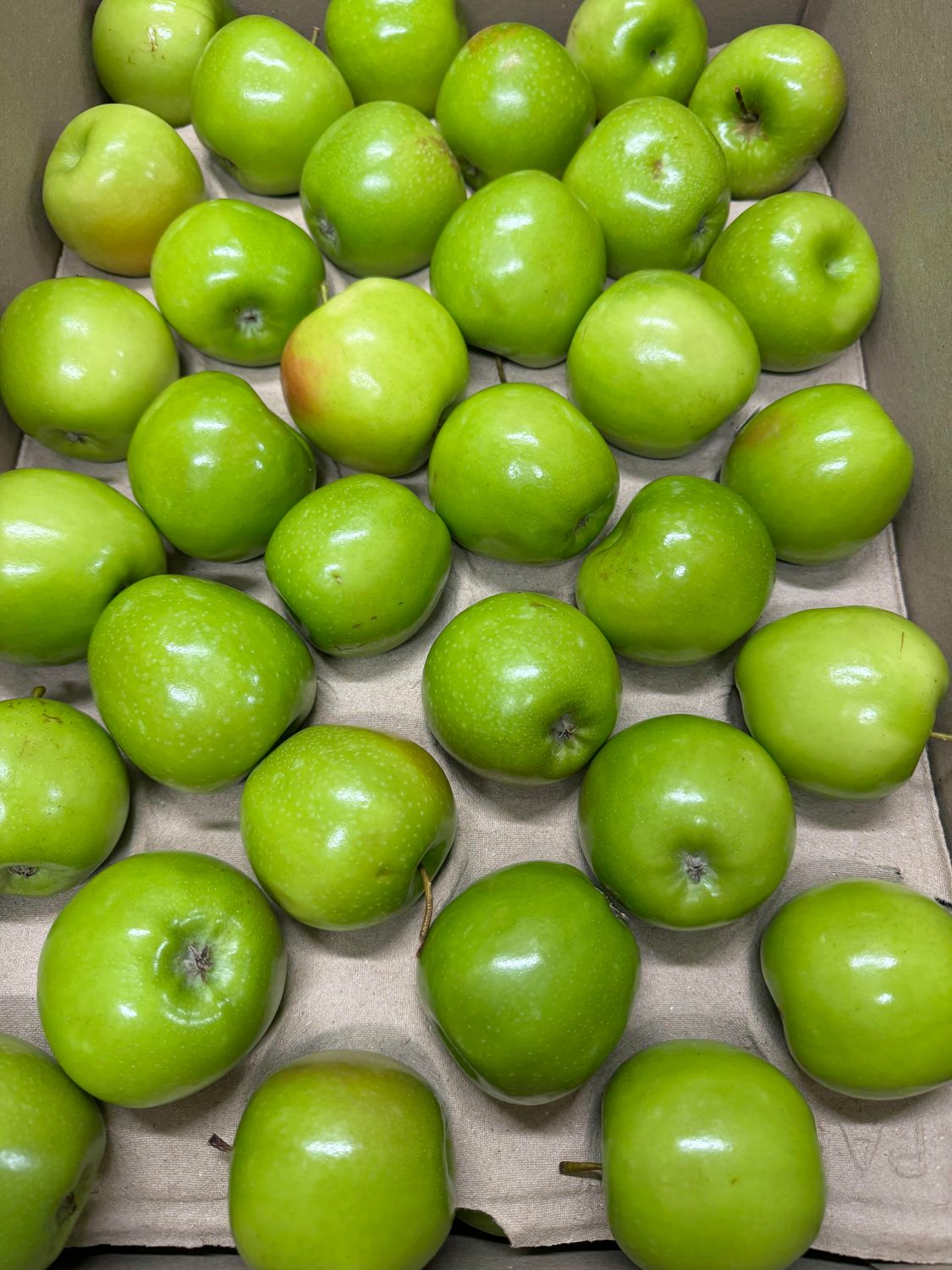 WHOLESALE Granny Smith Apples (18KG BOX)