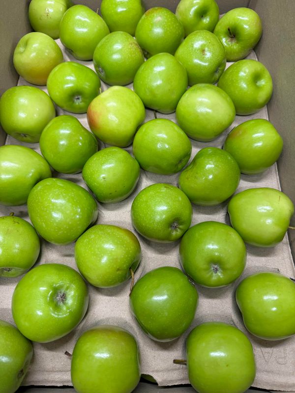 WHOLESALE Granny Smith Apples (18KG BOX)