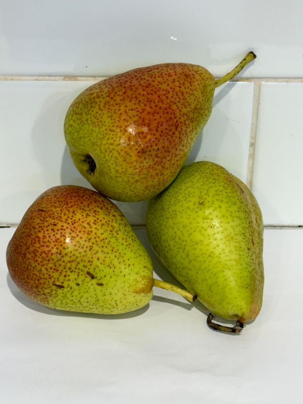 Pears- - Red Corella, Each