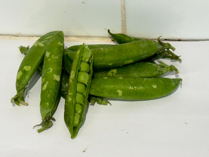 Fresh Peas  PER 100G