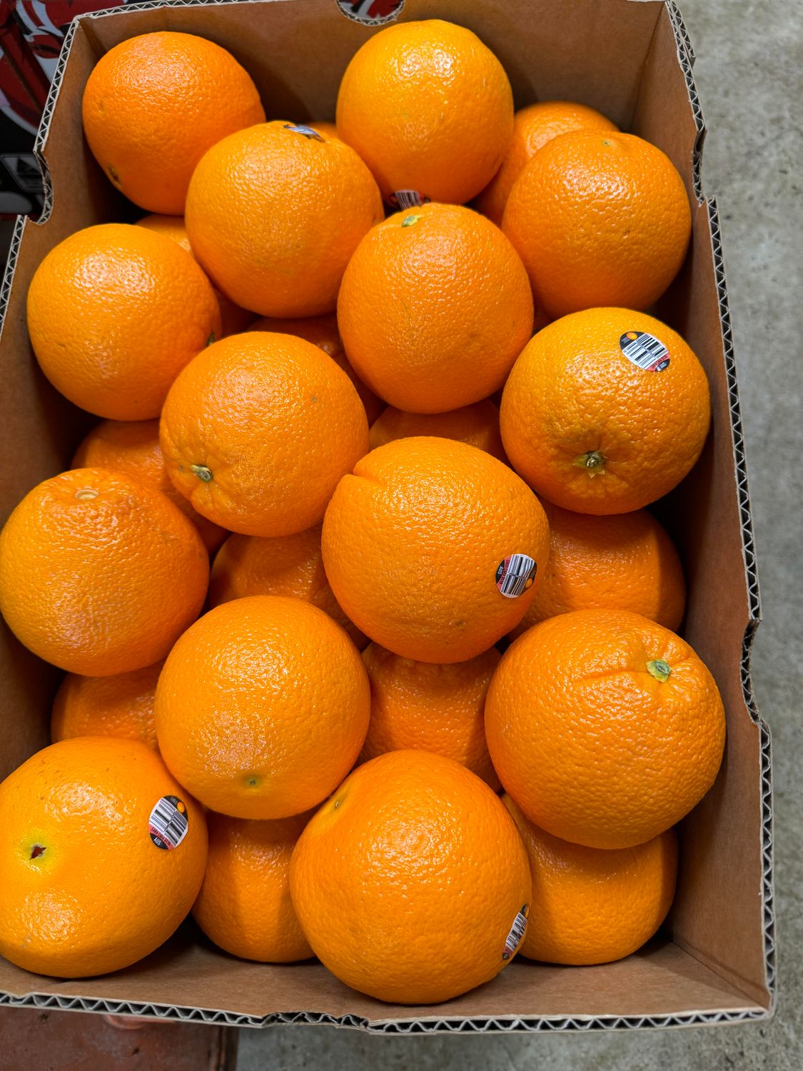 WHOLESALE - Kara Kara (Red Navels) (18KG BOX)