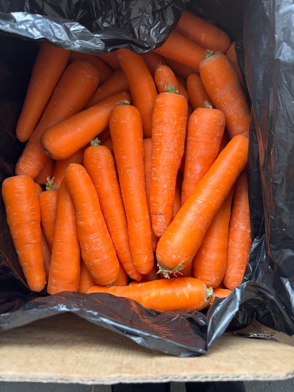 WHOLESALE NO1 Carrots (20KG BOX)