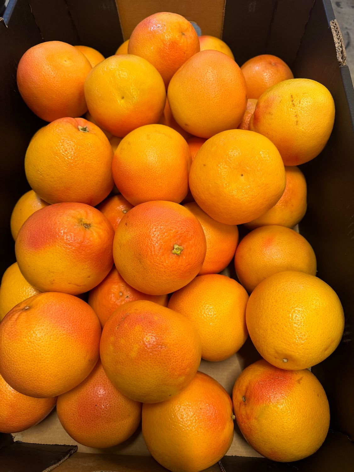 WHOLESALE - Ruby Grapefruit  (APPROX 13KG BOX)