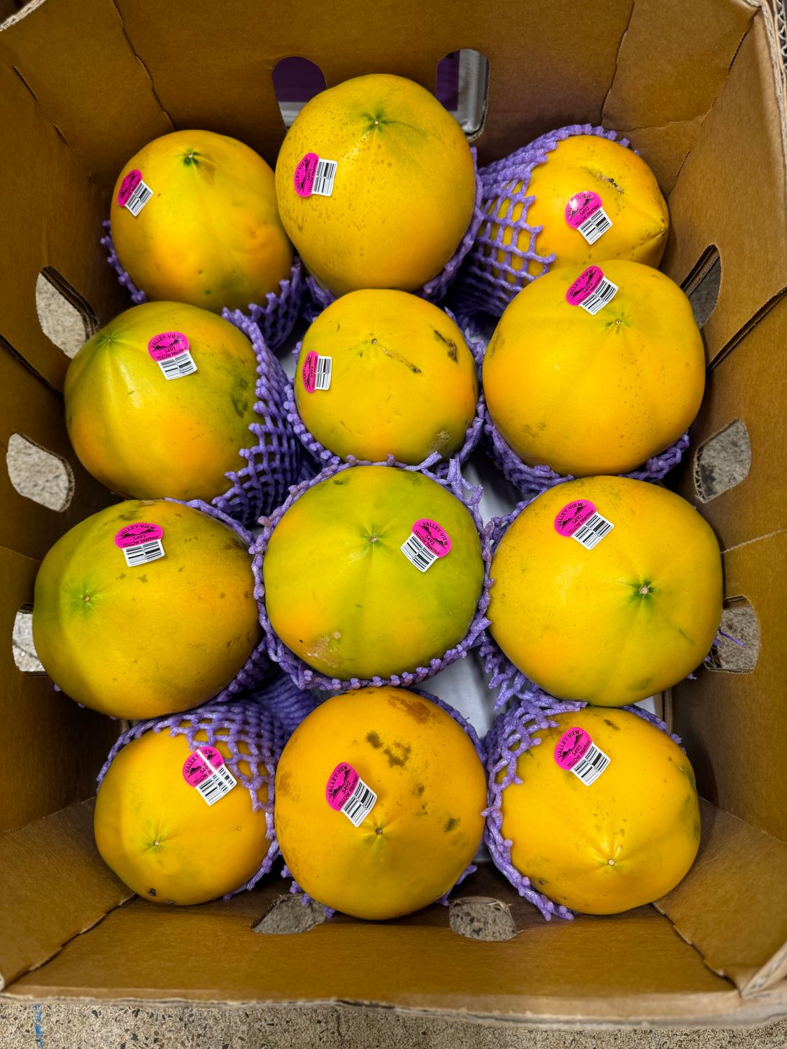 WHOLESALE - Yellow Paw Paw (BOX)