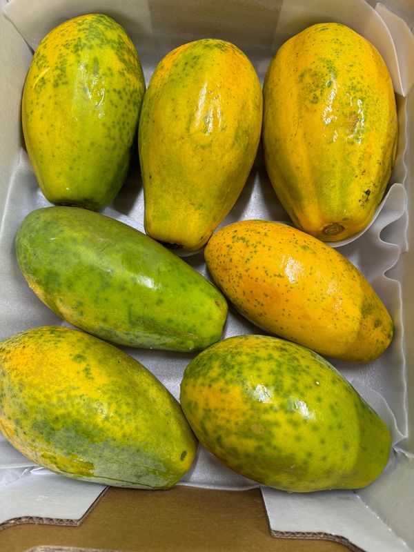 WHOLESALE - Red Papaya (BOX)