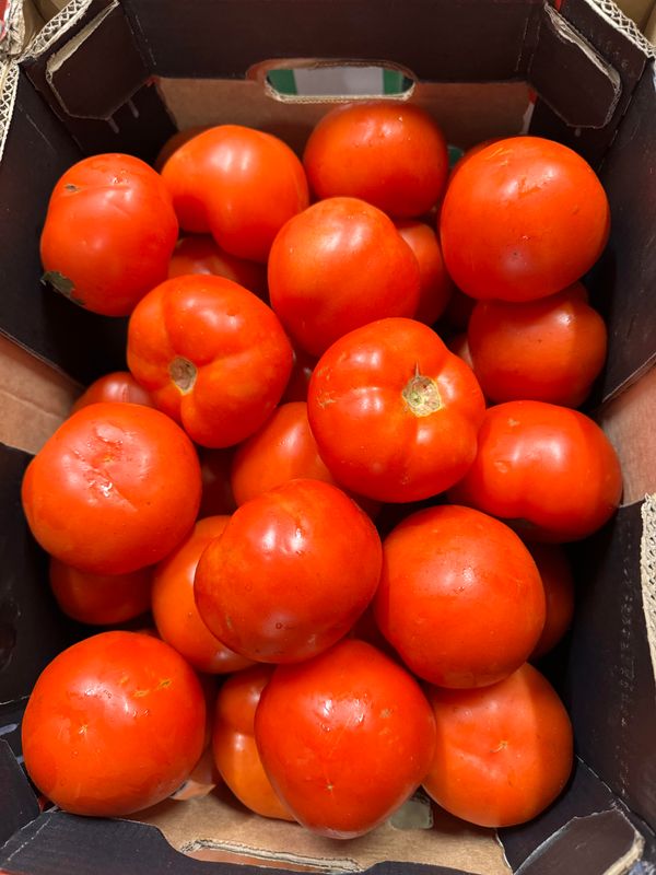 WHOLESALE - LRG Tomato (10KG BOX)