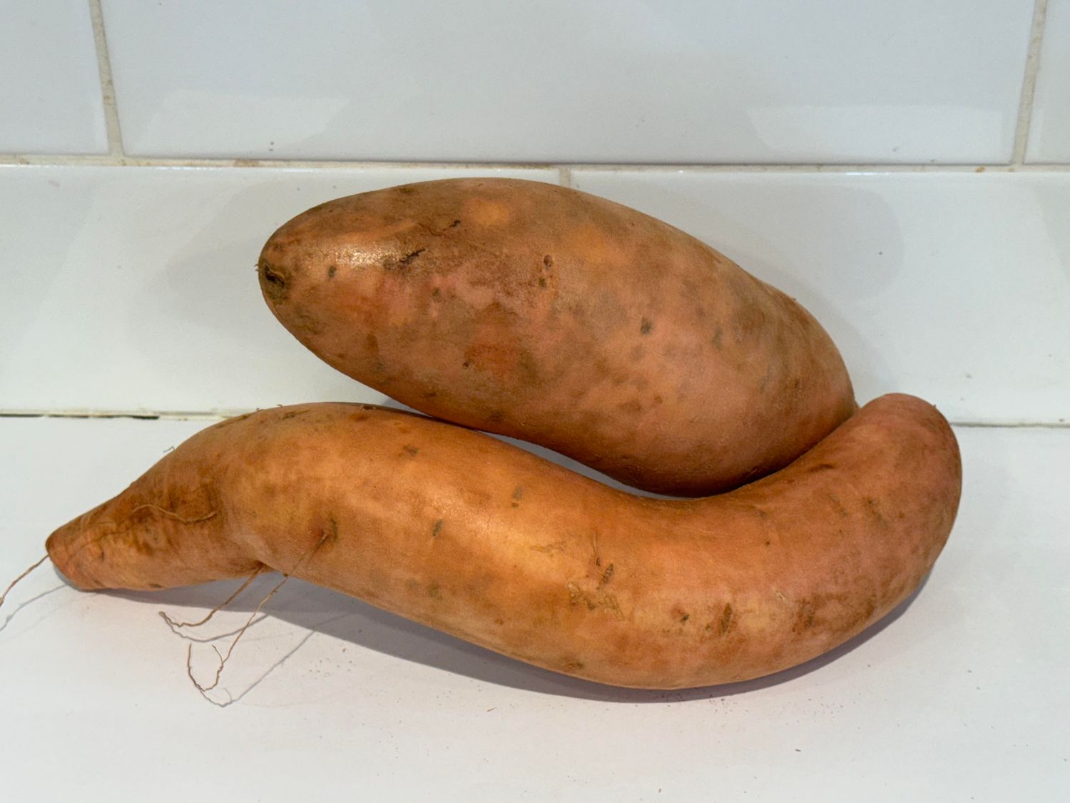 Gold Sweet Potato, Each (SMALL/MED)