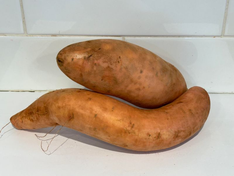 Gold Sweet Potato, Each (MED)